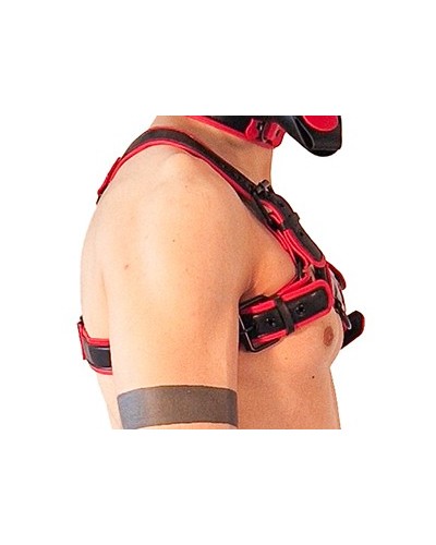 Harnais Puppy Harness Noir-Rouge sextoys et accessoires sur La Boutique du Hard