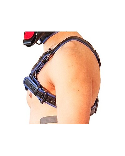 Harnais Puppy Harness Noir-Bleu sextoys et accessoires sur La Boutique du Hard