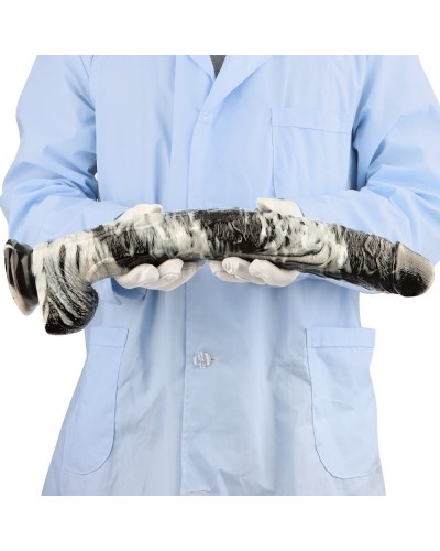 Gode XL Pisara 35.5 x 5.3cm sextoys et accessoires sur La Boutique du Hard