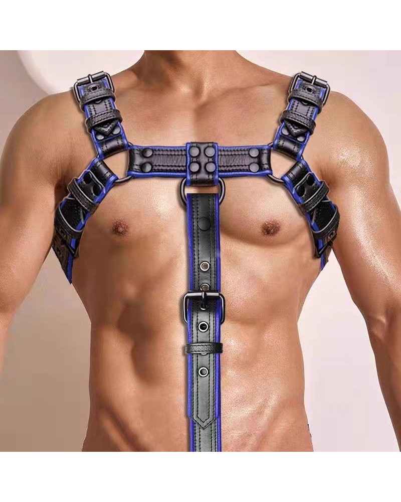 Harnais Simili Hashon Noir-Bleu sextoys et accessoires sur La Boutique du Hard