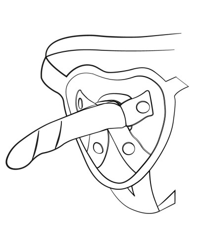 Gode Dizi 16 x 3.3cm sextoys et accessoires sur La Boutique du Hard