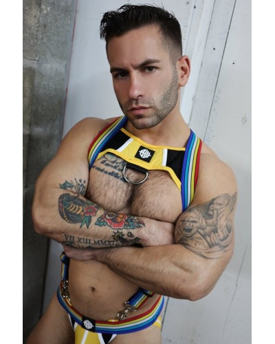 Harnais Retro Remix Jaune sextoys et accessoires sur La Boutique du Hard