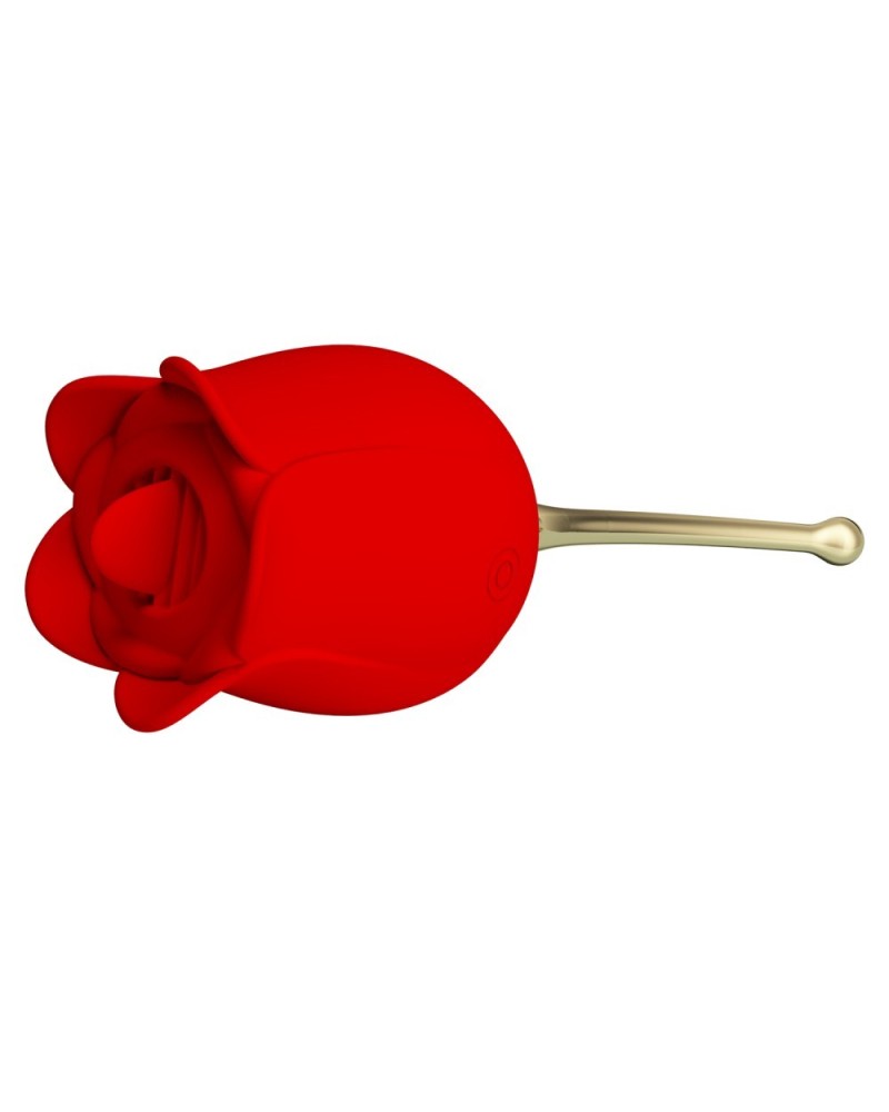 Stimulateur Anulingus Rose Lover sextoys et accessoires sur La Boutique du Hard