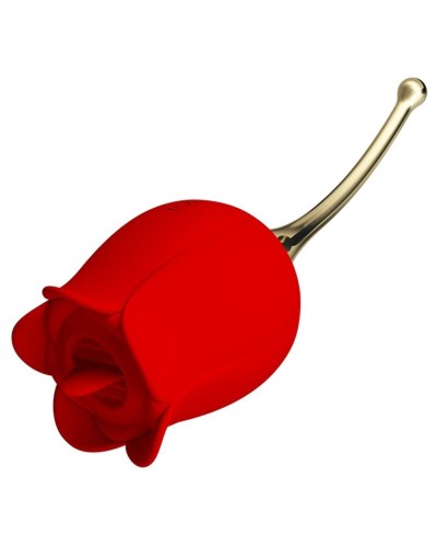 Stimulateur Anulingus Rose Lover sextoys et accessoires sur La Boutique du Hard