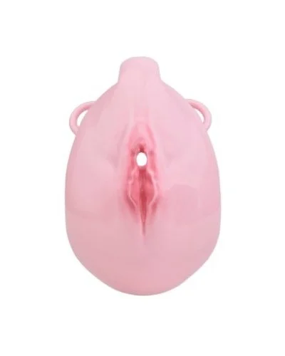 Cage de Chasteté avec Harnais Sislab 5.5 x 3.5cm Rose sextoys et accessoires sur La Boutique du Hard