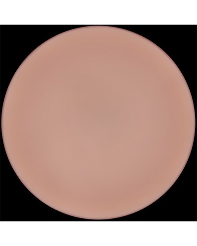 Gode Slidinskin Pro 21 x 4.5cm sextoys et accessoires sur La Boutique du Hard