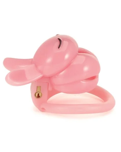 Cage Lapin 4.5 x 3 cm Rose sextoys et accessoires sur La Boutique du Hard
