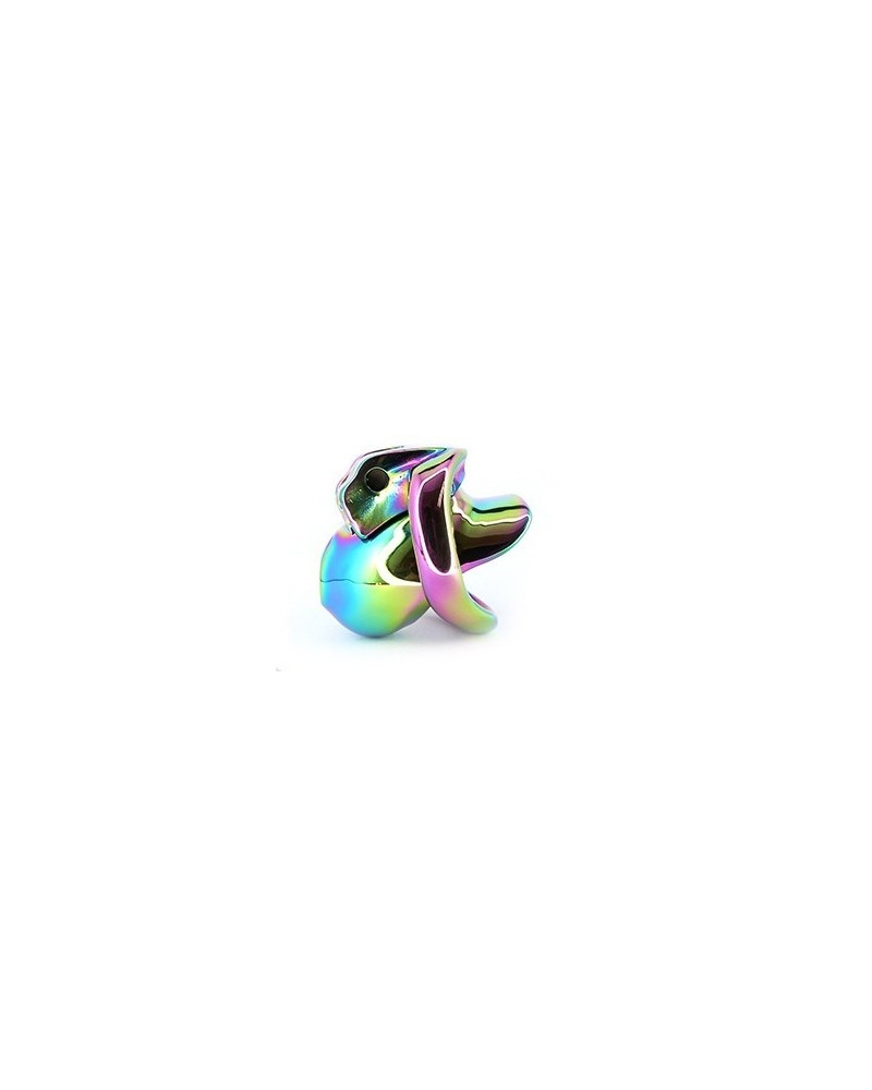 Cage en métal RAINBOW 5.5 x 3.3cm sextoys et accessoires sur La Boutique du Hard