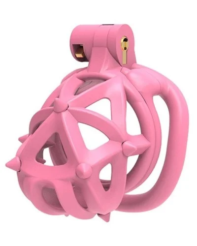 Cage Diapik Rose S 5.5 x 3.3cm sextoys et accessoires sur La Boutique du Hard