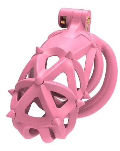 Cage Diapik Rose M 10 x 3.3cm sextoys et accessoires sur La Boutique du Hard