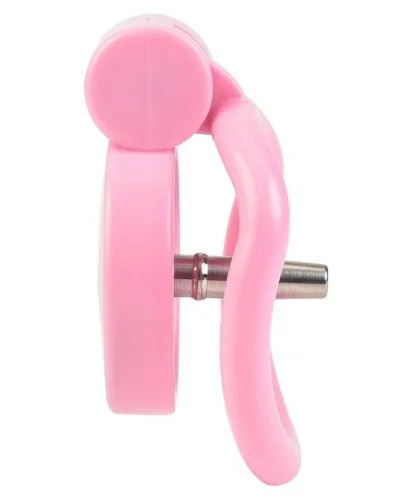 Cage avec plug Terhidy Rose 2.5 x 3.8 cm sextoys et accessoires sur La Boutique du Hard