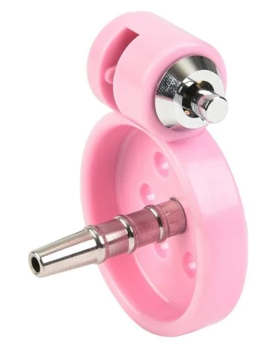 Cage avec plug Terhidy Rose 2.5 x 3.8 cm sextoys et accessoires sur La Boutique du Hard