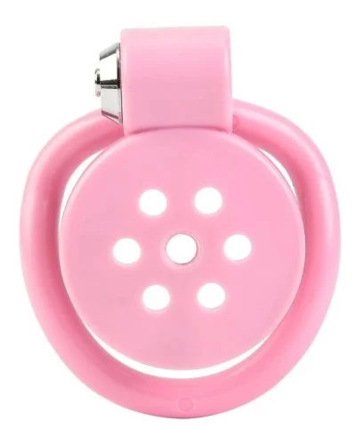 Cage avec plug Terhidy Rose 2.5 x 3.8 cm sextoys et accessoires sur La Boutique du Hard