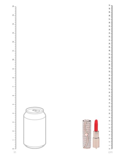 Mini Vibro + 4 embouts Candy Rose sextoys et accessoires sur La Boutique du Hard