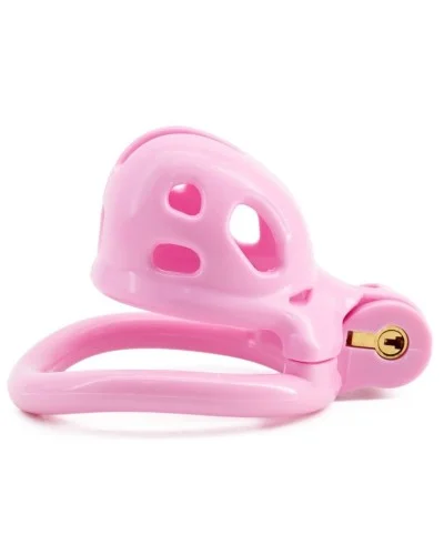 Cage Robat Rose S 4 x 3.3cm sextoys et accessoires sur La Boutique du Hard