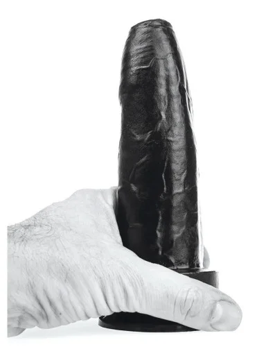 Gode DP94B Dieter Noir S 14 x 5cm sextoys et accessoires sur La Boutique du Hard