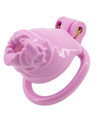 Cage Forial 3.5 x 3.2 cm Rose sextoys et accessoires sur La Boutique du Hard