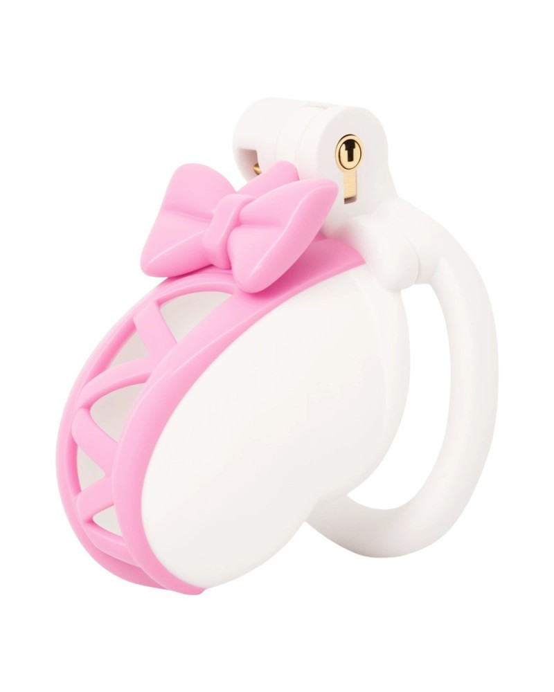 Cage Nesdick 7.5 x 3.5cm sextoys et accessoires sur La Boutique du Hard