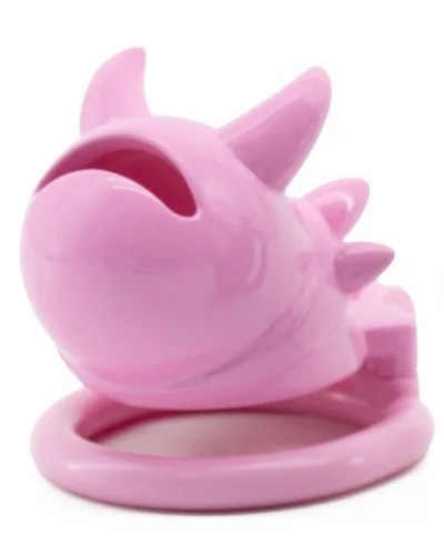 Cage Vikya 7.5 x 3.2 cm Rose sextoys et accessoires sur La Boutique du Hard