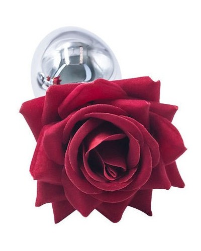 Plug Rosestain S 6 x 2.7cm sextoys et accessoires sur La Boutique du Hard