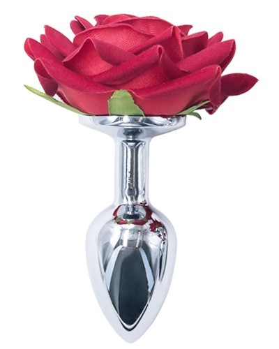 Plug Rosestain L 8 x 4cm sextoys et accessoires sur La Boutique du Hard