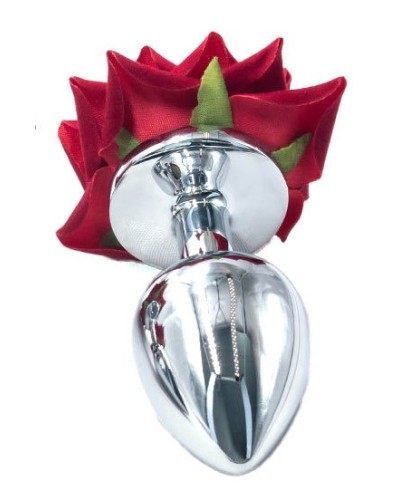 Plug Rosestain L 8 x 4cm sextoys et accessoires sur La Boutique du Hard
