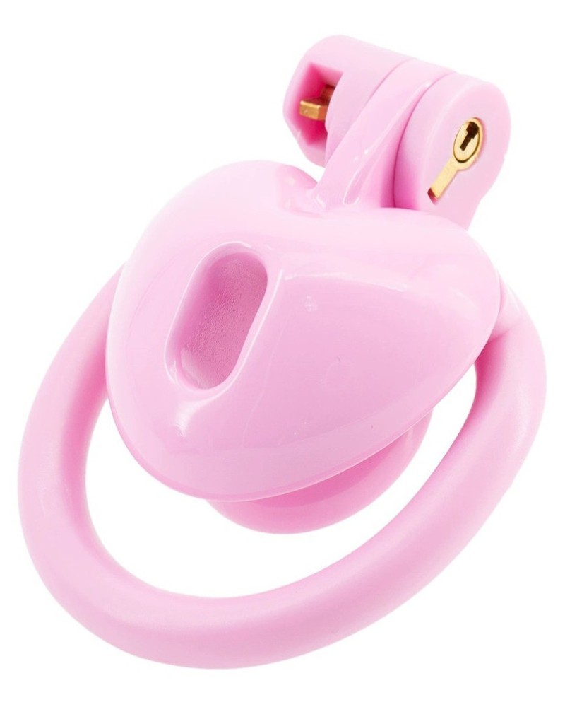 Cage Mini Heart 0.5 x 2.6 cm Rose sextoys et accessoires sur La Boutique du Hard
