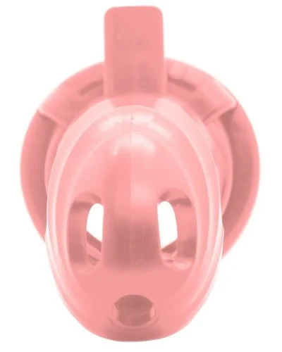 Cage Scallycock 10 x 3.5 cm Rose sextoys et accessoires sur La Boutique du Hard