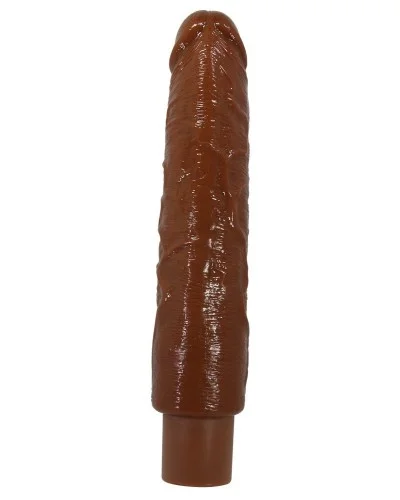 Gode vibrant Soren Marron 22 x 4.7cm sextoys et accessoires sur La Boutique du Hard