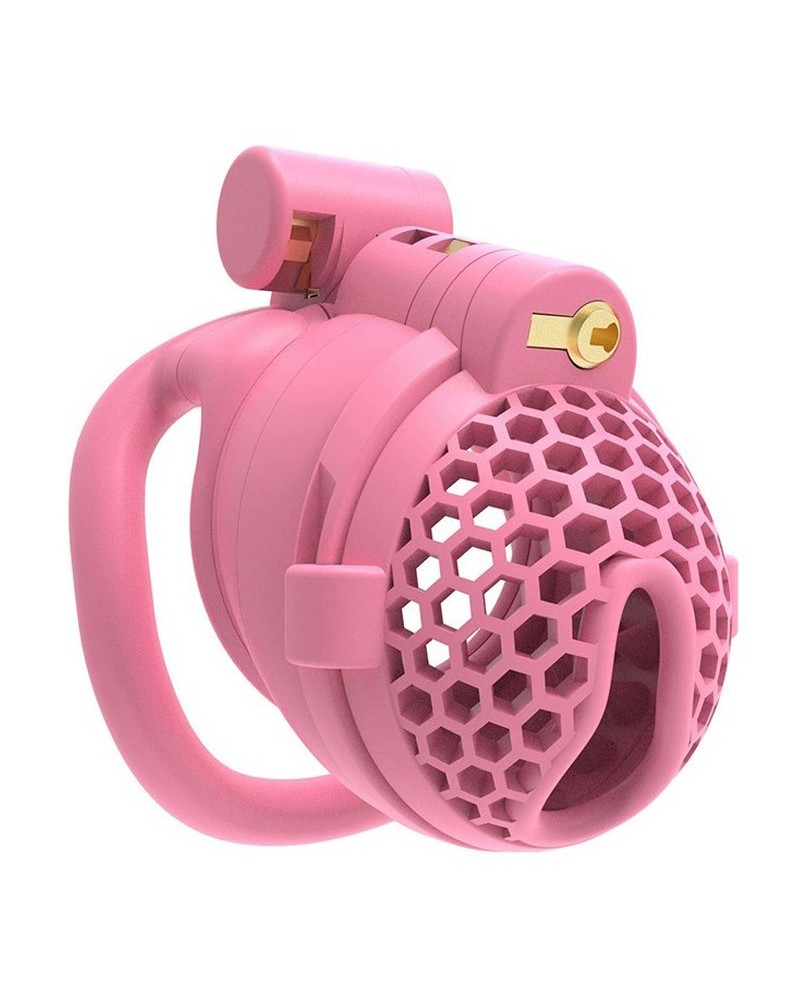 Cage avec Picots Hombick 6.5 x 3.2 cm Rose sextoys et accessoires sur La Boutique du Hard