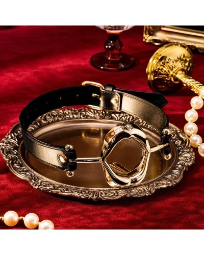 Bâillon Gold Lips - Ouverture 35mm sextoys et accessoires sur La Boutique du Hard