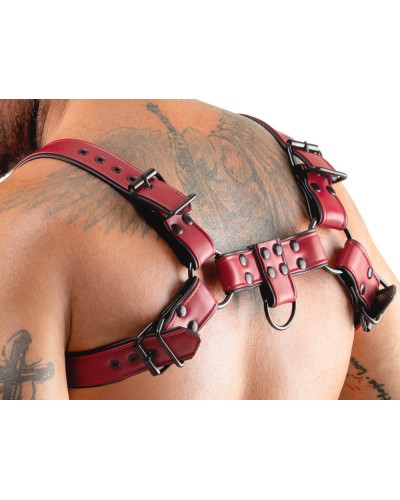 Harnais Chestty Rouge