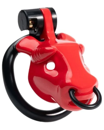 Cage Minodick 6 x 3 cm Rouge