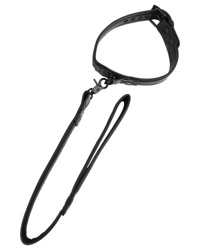 Collier-laisse Vantage 8 Noir
