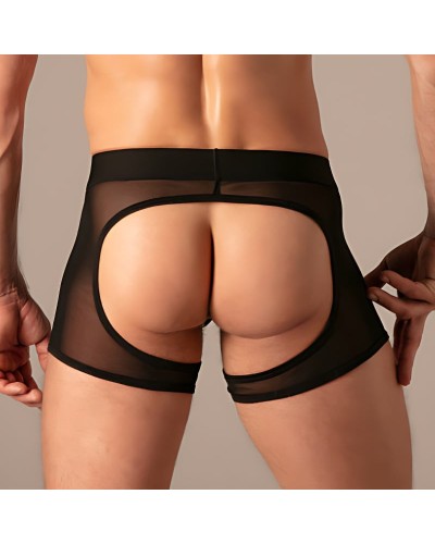 Bottomless Chaps Bare Mesh Noir