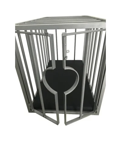 Cage m