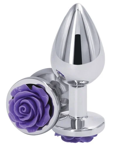 Plug bijou Rear M 7 x 3.4cm ArgentE-Violet pas cher