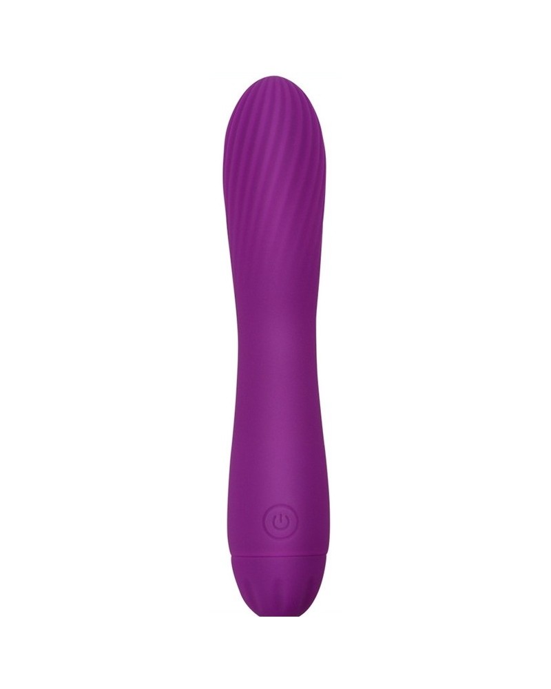 Vibro Torti 17 x 3.3cm Violet pas cher