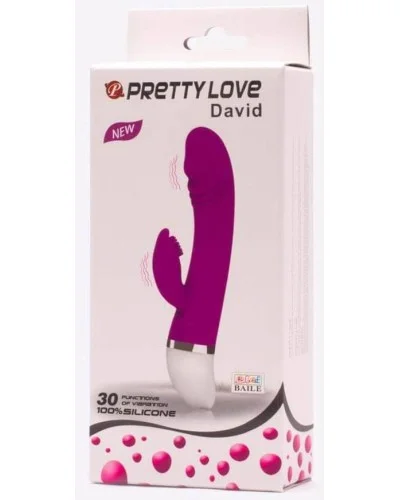 Vibro Rabbit David Pretty Love 20cm pas cher