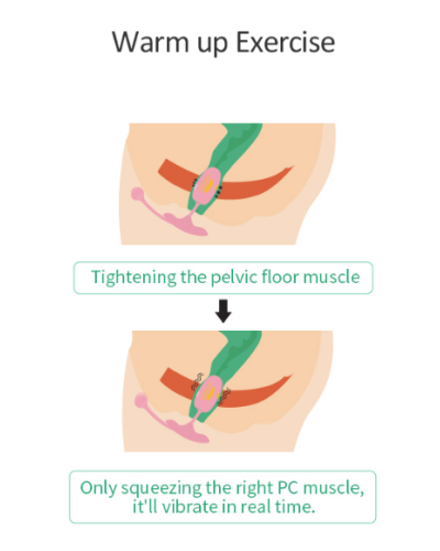 Oeuf vaginal connect