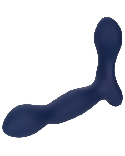 Stimulateur de prostate Expert Probe Viceroy 10 x 2.5cm pas cher