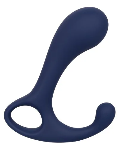 Stimulateur de prostate Direct Probe Viceroy 8 x 3cm pas cher