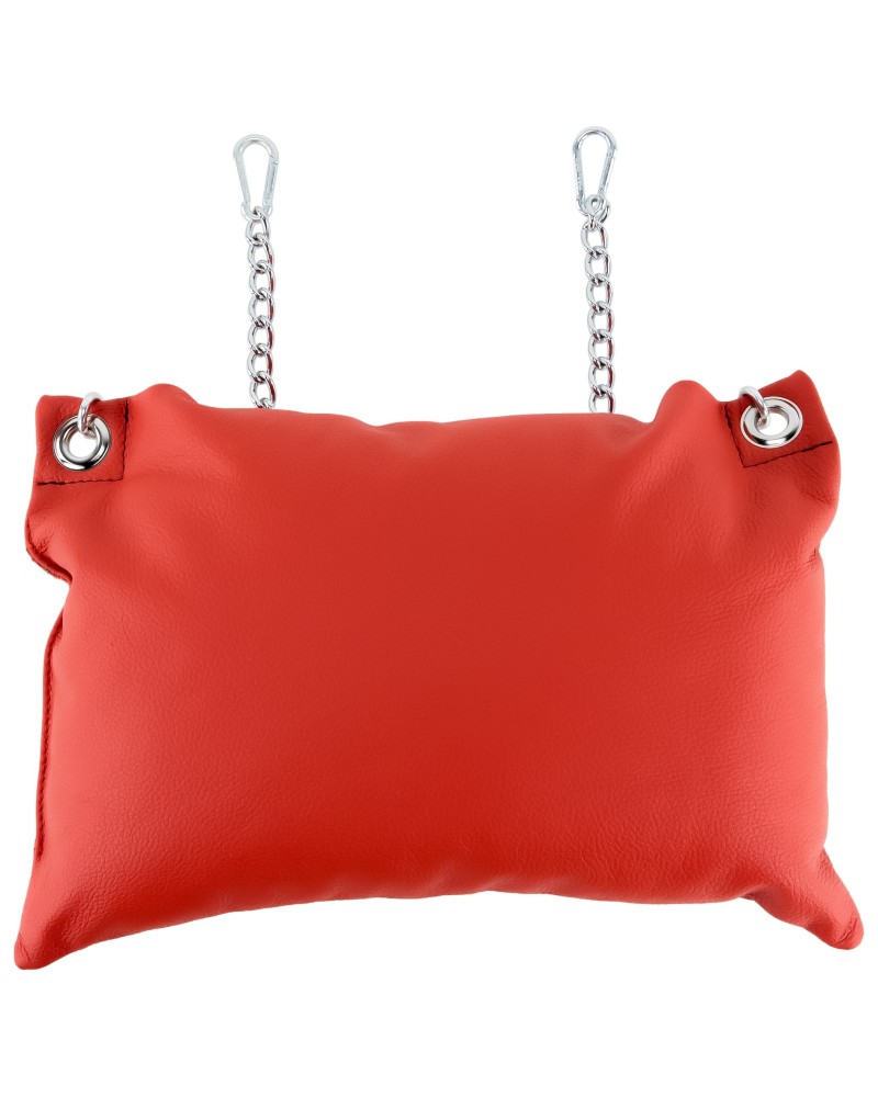 Coussin en cuir 20 x 25cm + Cha