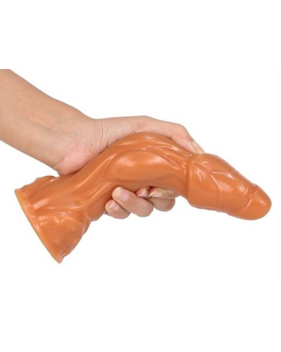 Gode Silicone Arix 18 x 5.5cm pas cher