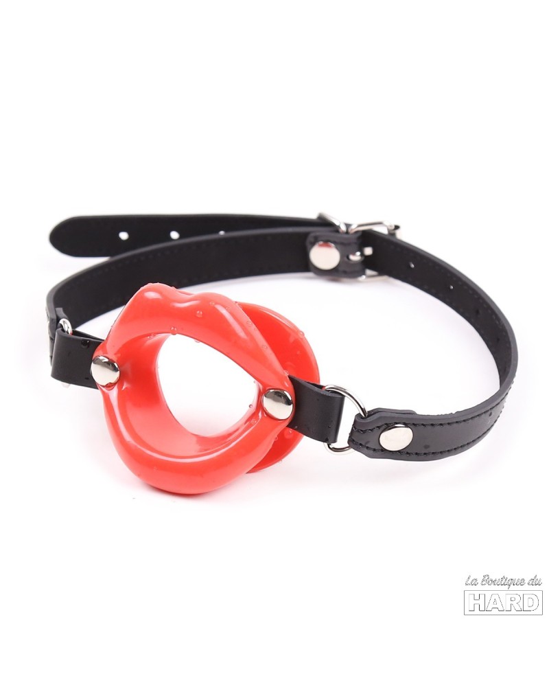 obaie Bâillon Os de Chien en Silicone et Faux Cuir