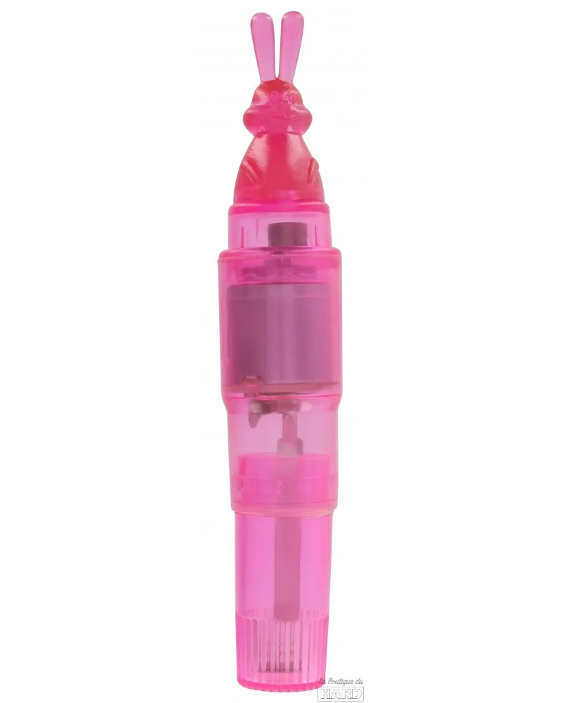 Stimulateur de clitoris Bunny Stimulator 13cm sur la Boutique du Hard