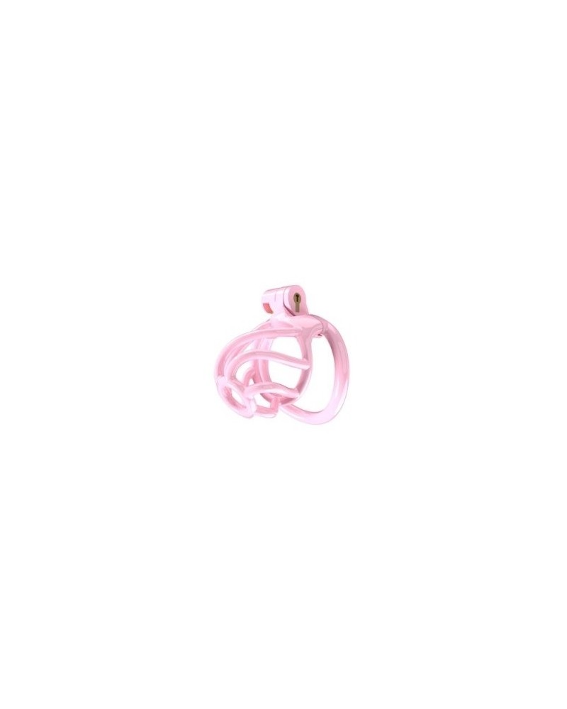 Cage de chasteté Tortille S 6 x 3.4 cm Rose sur la Boutique du Hard