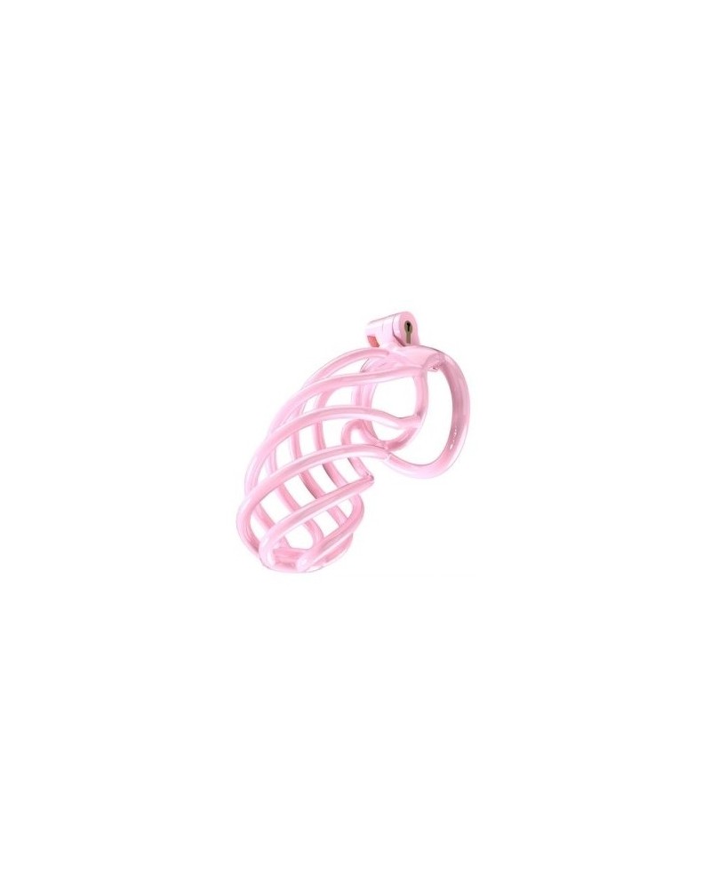 Cage de chasteté Tortille XXL 12.5 x 3.4 cm Rose sur la Boutique du Hard