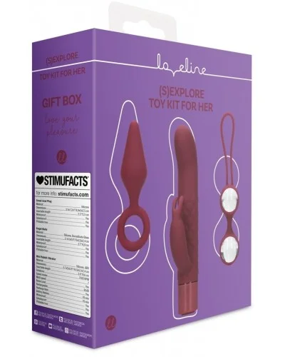 Coffret de Sextoys pour Elle Darkcherry 3 Accessoires sur la Boutique du Hard