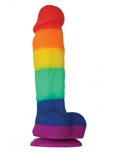 Gode Rainbow 13 x 3.5 cm sur la Boutique du Hard